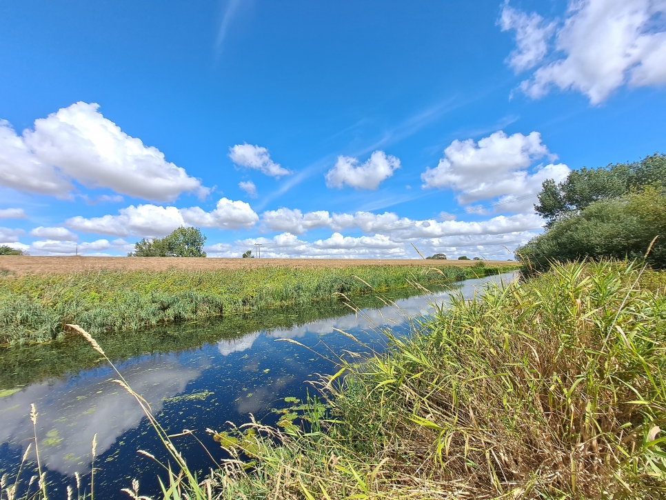 Summer walk - River Delph.jpg